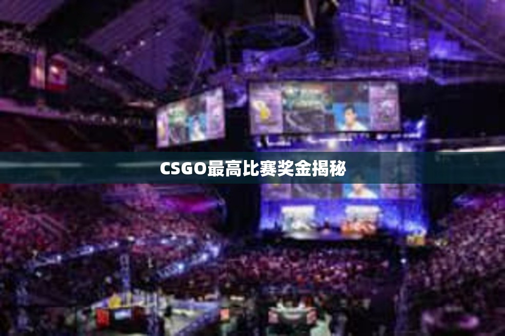 CSGO最高比赛奖金揭秘